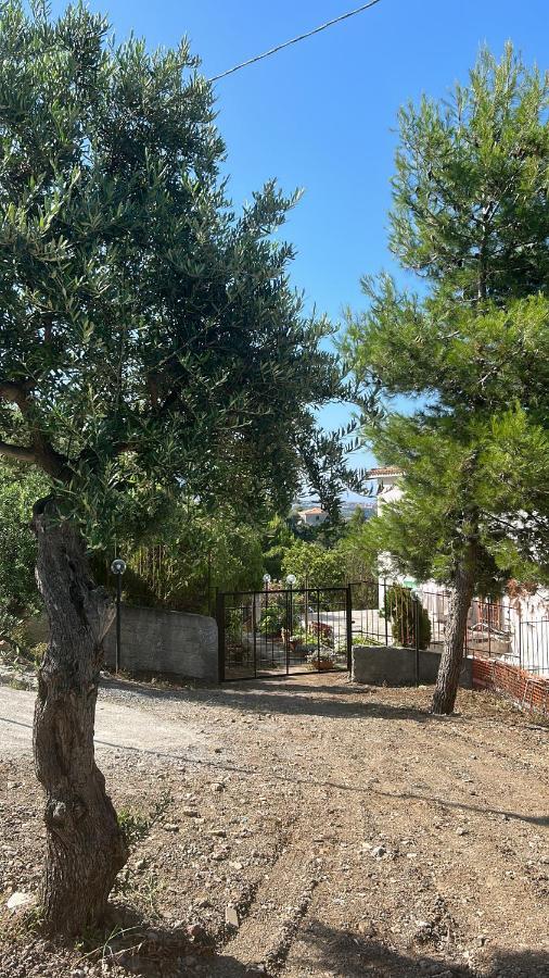 Villa Loren Praia a Mare Exterior foto